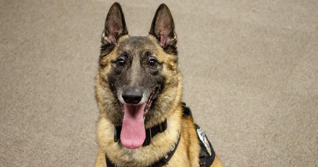 Inside the Rock Springs Police Department’s K-9 Unit