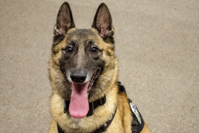 Inside the Rock Springs Police Department’s K-9 Unit