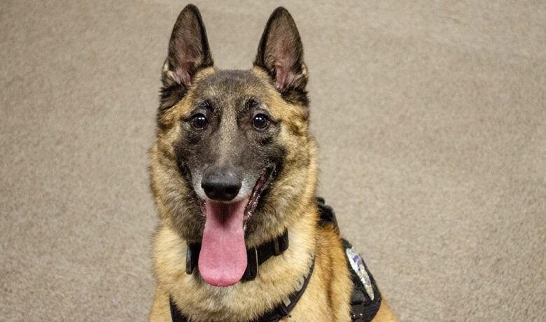 Rock Springs Police Department Announces K-9 Retirement