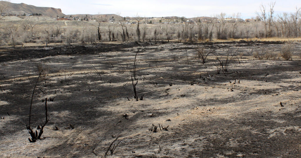 Scott’s Bottom Nature Area Closed Until Further Notice