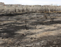 Scott’s Bottom Nature Area Closed Until Further Notice