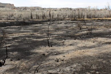 Scott’s Bottom Nature Area Closed Until Further Notice