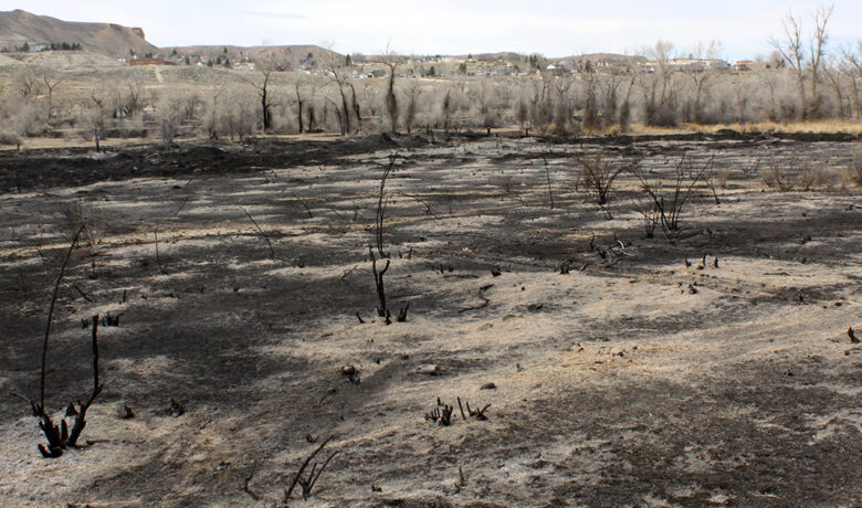 Scott’s Bottom Nature Area Closed Until Further Notice
