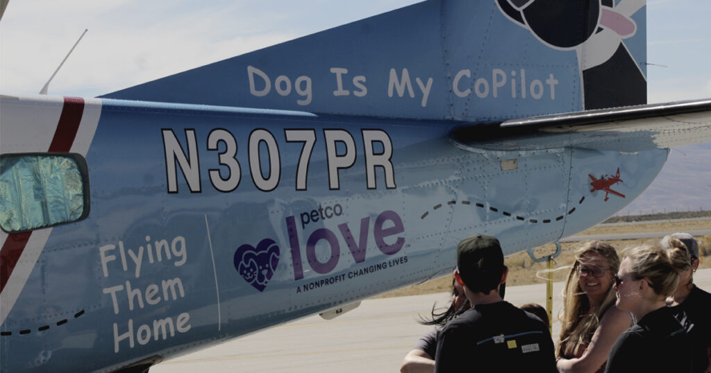 Flying Them Home With Dog Is My Copilot