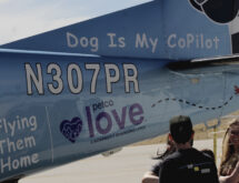 Flying Them Home With Dog Is My Copilot