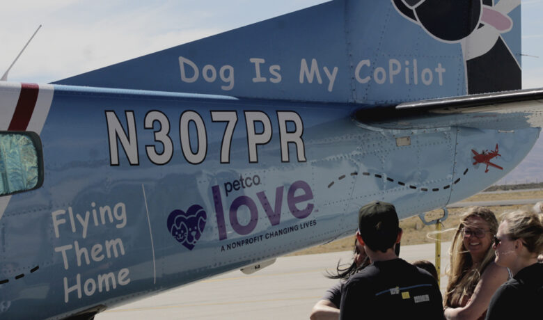 Flying Them Home With Dog Is My Copilot