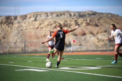 Tigers Sweep Star Valley, Stay Perfect at Home