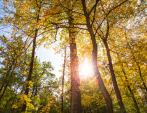 Weather Forecast for Monday, March 23, 2026