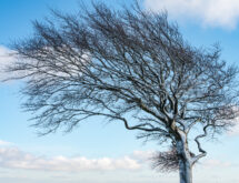 Weather Forecast for Friday, March 13, 2026