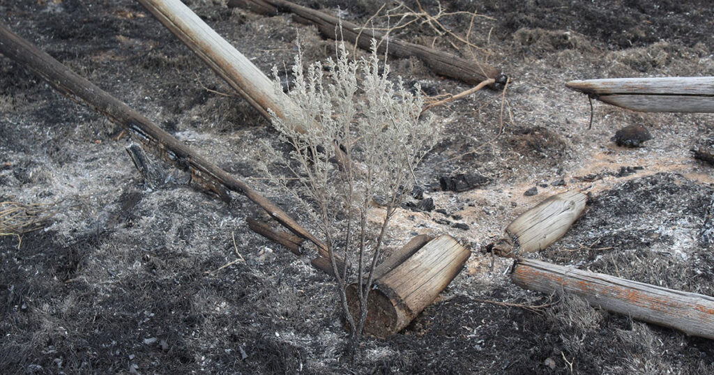 Green River Fire Department Gives Tips On Preparing For Wildfires