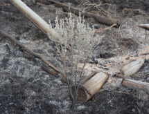 Green River Fire Department Gives Tips On Preparing For Wildfires