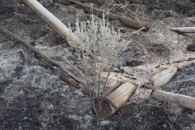 Green River Fire Department Gives Tips On Preparing For Wildfires