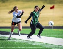 Tough Night at Home for Wolves