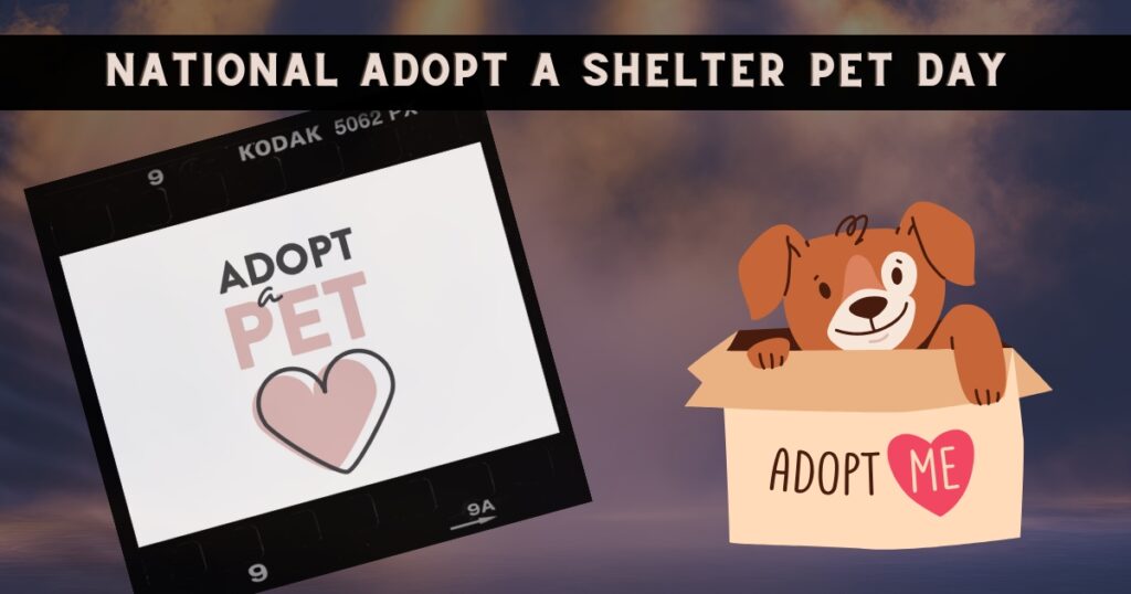 Today is National Adopt a Shelter Pet Day — and a Reminder to Be a Voice for Animals