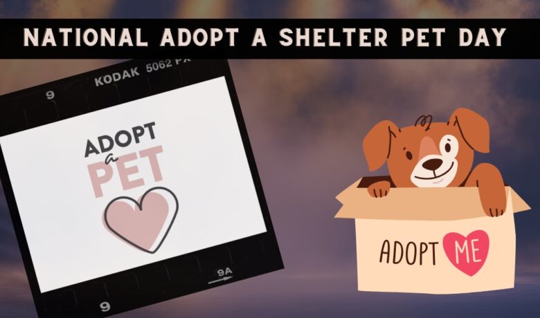 Today is National Adopt a Shelter Pet Day — and a Reminder to Be a Voice for Animals