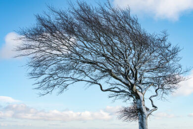 Weather Forecast for Friday, April 24, 2026