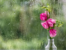 Weather Forecast for Monday, April 13, 2026