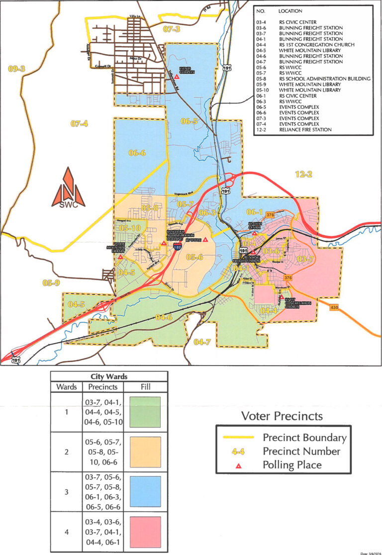 RS Ward Ordinance Passes First Reading RS Ward And Precinct Map 768x1116 