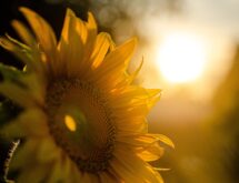 Weather Forecast for Thursday, April 9, 2026