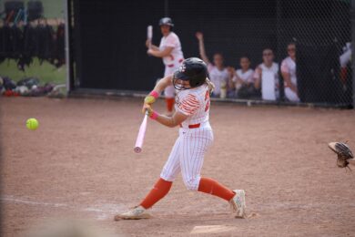 Lady Tigers Host South Regionals