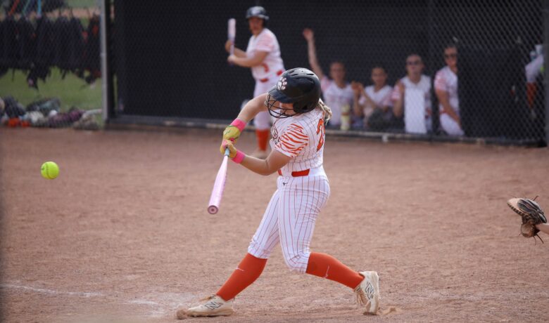 Lady Tigers Host South Regionals
