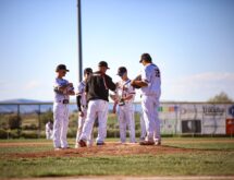 Stallions Skid Extends After Torrington Twin Bill