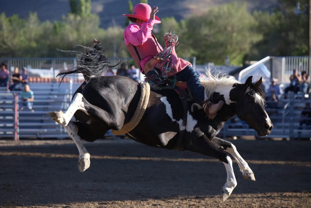 Big Rides Highlight Stampede Results
