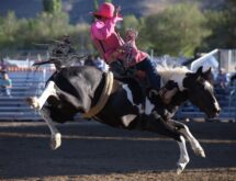 Big Rides Highlight Stampede Results