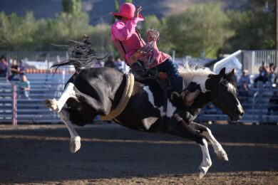 Big Rides Highlight Stampede Results