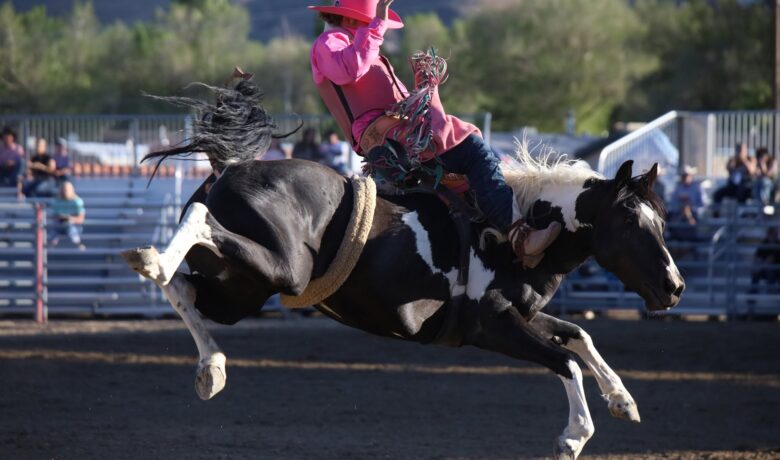 Big Rides Highlight Stampede Results
