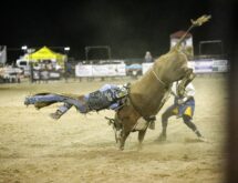 Red Desert Roundup Rodeo Returns