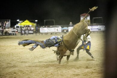 Red Desert Roundup Rodeo Returns