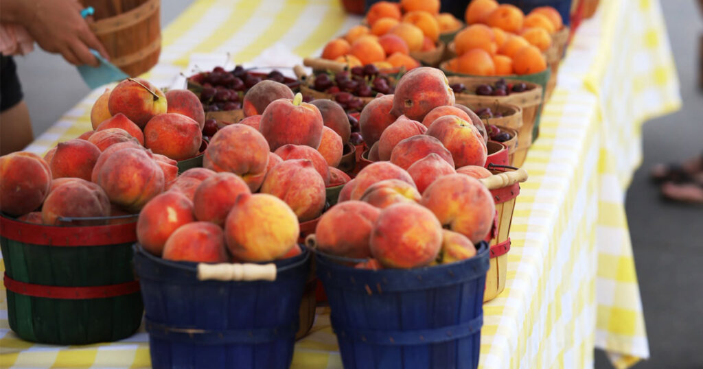 Green River Farmers Market is Back