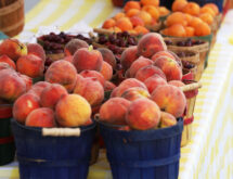 Green River Farmers Market is Back