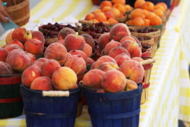 Green River Farmers Market is Back