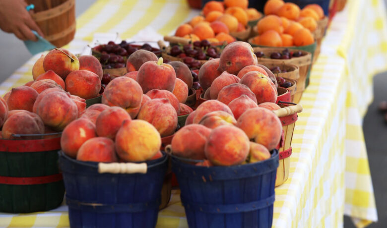 Green River Farmers Market is Back