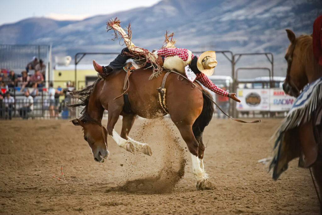Champions Crowned at Red Desert Roundup Rodeo