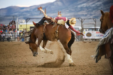 Champions Crowned at Red Desert Roundup Rodeo