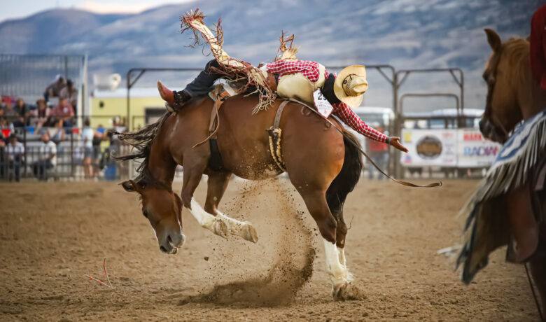 Champions Crowned at Red Desert Roundup Rodeo