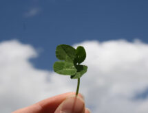 Why​‍​‌‍​‍‌​‍​‌‍​‍‌ Luck-Games Engage So Much