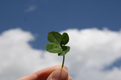 Why​‍​‌‍​‍‌​‍​‌‍​‍‌ Luck-Games Engage So Much