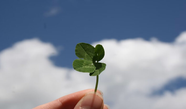 Why​‍​‌‍​‍‌​‍​‌‍​‍‌ Luck-Games Engage So Much