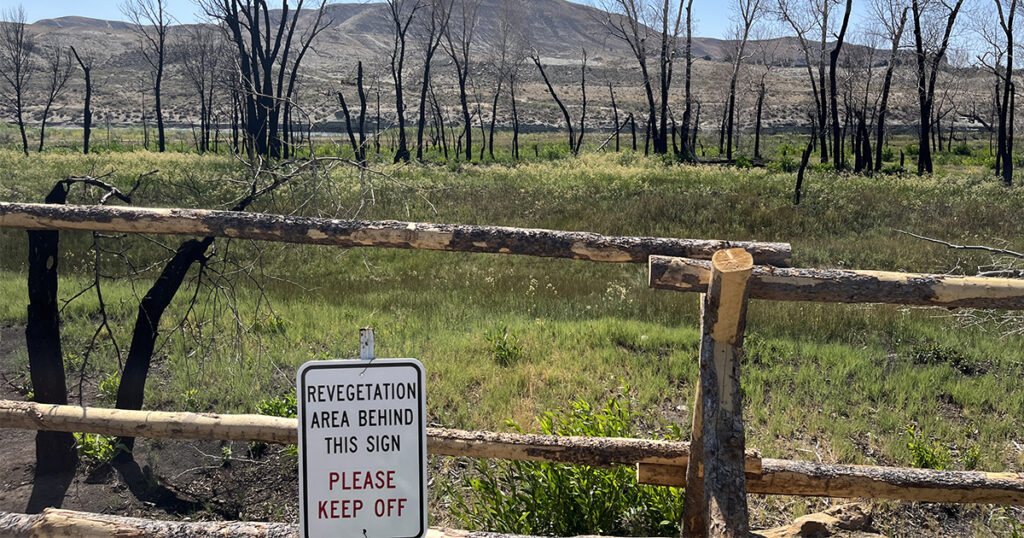 Scott’s Bottom Nature Area Reopened to the Public