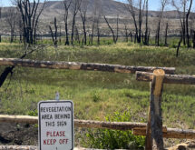 Scott’s Bottom Nature Area Reopened to the Public
