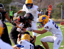 Tigers Show Fight Despite Loss to Sheridan
