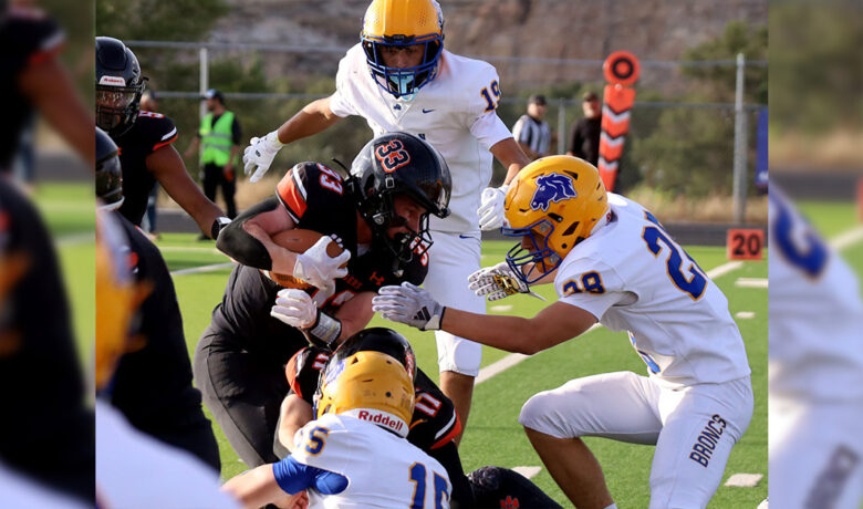 Tigers Show Fight Despite Loss to Sheridan