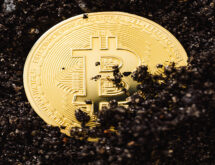 Why Bitcoin Miners Keep Coming to Wyoming and What Locals Should Know
