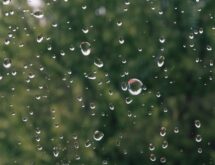 Weather Forecast for Thursday, August 13, 2026