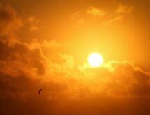 Weather Forecast for Thursday, August 6, 2026