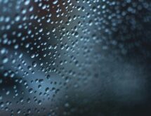 Weather Forecast for Saturday, August 29, 2026